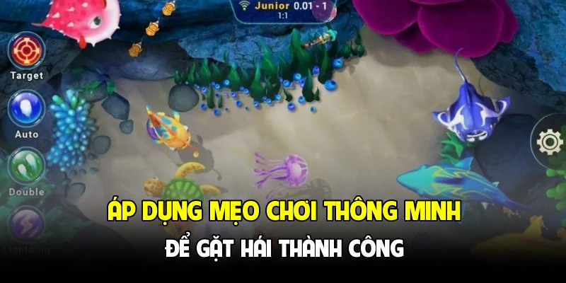 Áp dụng mẹo chơi thông minh để gặt hái thành công