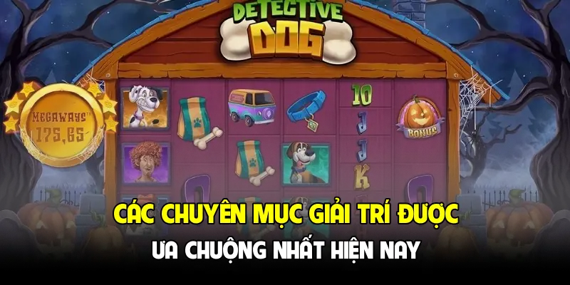 Các chuyên mục giải trí được ưa chuộng nhất hiện nay